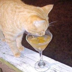 Meet your Posher, Shawn